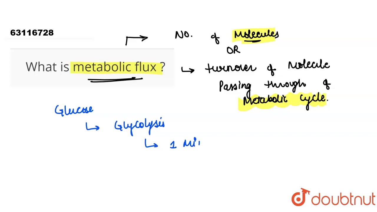 What Is Metabolic Flux Youtube