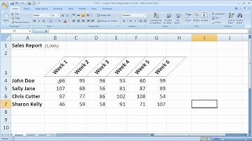 Excel Formatting Tip 7 - Angle Cells Diagonally in Excel Make Better Looking Reports and Tables