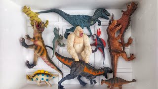 Hunting found jurassic world evolution 2: Ankylosaurus, stegosaurus, carnotaurus, king kong, t-rex