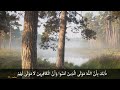 لا تعارض فى القرآن 25 هل الله عز وجل مولى المؤمنين فقط د عمر mp3