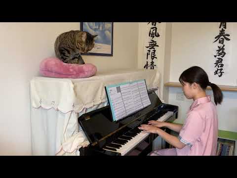 勿忘　　　Awesome     City    Club            ピアノ　　〜猫と一緒〜
