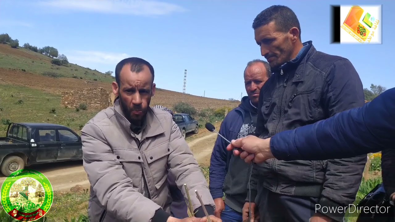 يوم إرشادي حول كيفية تطعيم أشجار الزيتون 2021