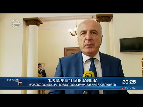 \"ლელოს ინიციატივა\" - დაწესდება თუ არა სანქციები პარლამენტი ჩხუბისთვის