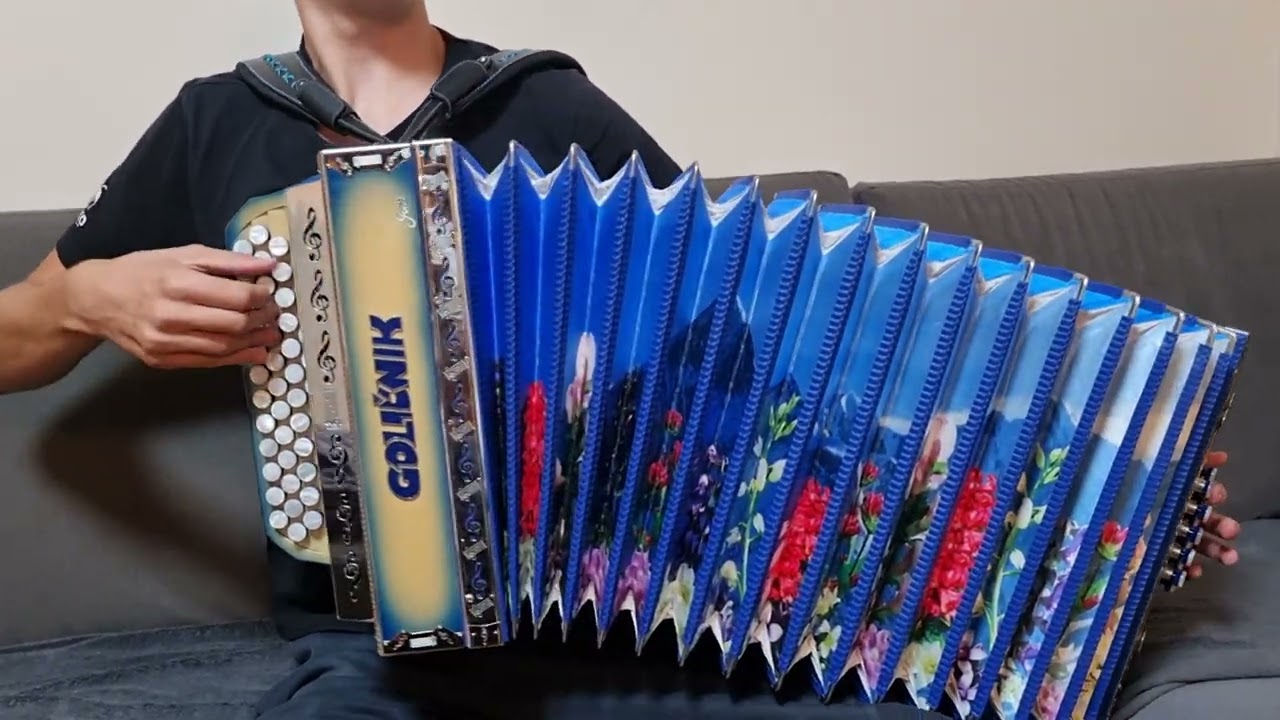 Kam le čas beži - harmonika