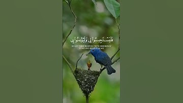 خشوع مهيب#عبد الباسط عبد الصمد #تلاوات #اكسبلور #قرآن كريم