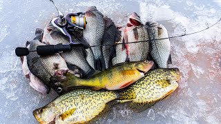 White Perch Ice Fishing (CATCH AND COOK) by Northeast Outdoors 363 views 3 months ago 24 minutes