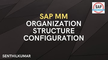 SAP MM Org Structure (Video 2)