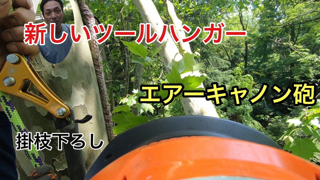 新しいツールハンガーの紹介とエアーキャノン砲でツリークライミング！皮一枚でつながっている危険な枝を下ろします❗️
