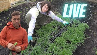A Slow Spring Start | Ian And Serina Chat @YouCantEatTheGrass