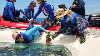 Technology to protect baby corals