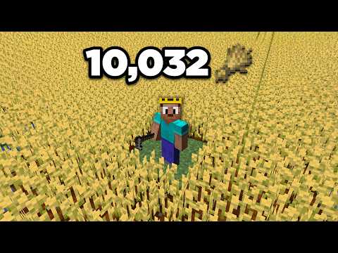 J’ai Construit Le Plus Grand Champ Au Monde Sur Minecraft