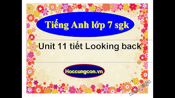 Tiếng Anh lớp 7 unit 11 tiết looking back