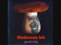 Mushroom lab  another ambient dub
