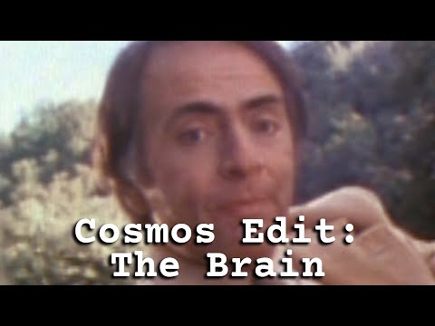 Cosmos Edit: The Brain