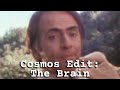 Cosmos edit the brain