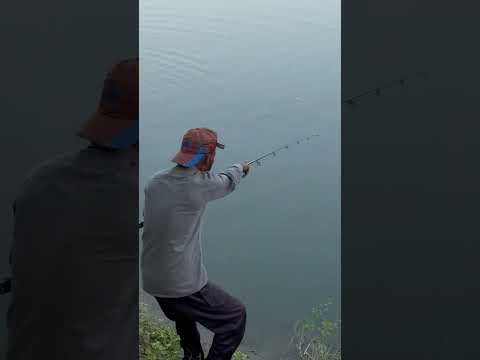 This Giant Fish Put the Fisherman Through a Real Struggle!