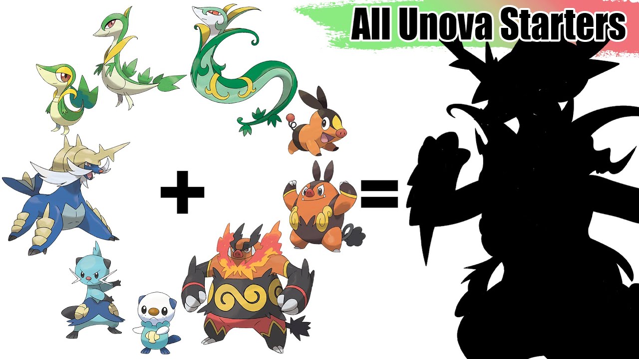 All Unova Starters Evolution Pokémon Fusion, Drawing WORLD RECORDS
