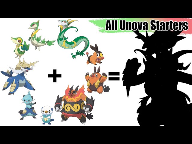 All Unova Starters Evolution Pokémon Fusion, Drawing WORLD RECORDS