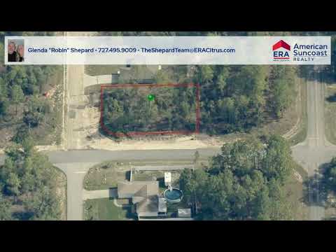 6665 N Darlington Drive, Dunnellon, FL home video tour