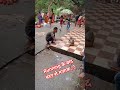 #Running के बाद बंदर से मजाक करना भारी पड़ गया || बंदर से मजाक #shorts #viral #Run #runstudyranjan