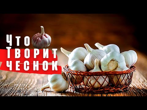 Вот что будет с нашим телом если есть Чеснок каждый день.