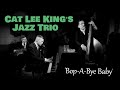 Bopabye baby cat lee kings jazz trio musik club session bonn bopflix sessions