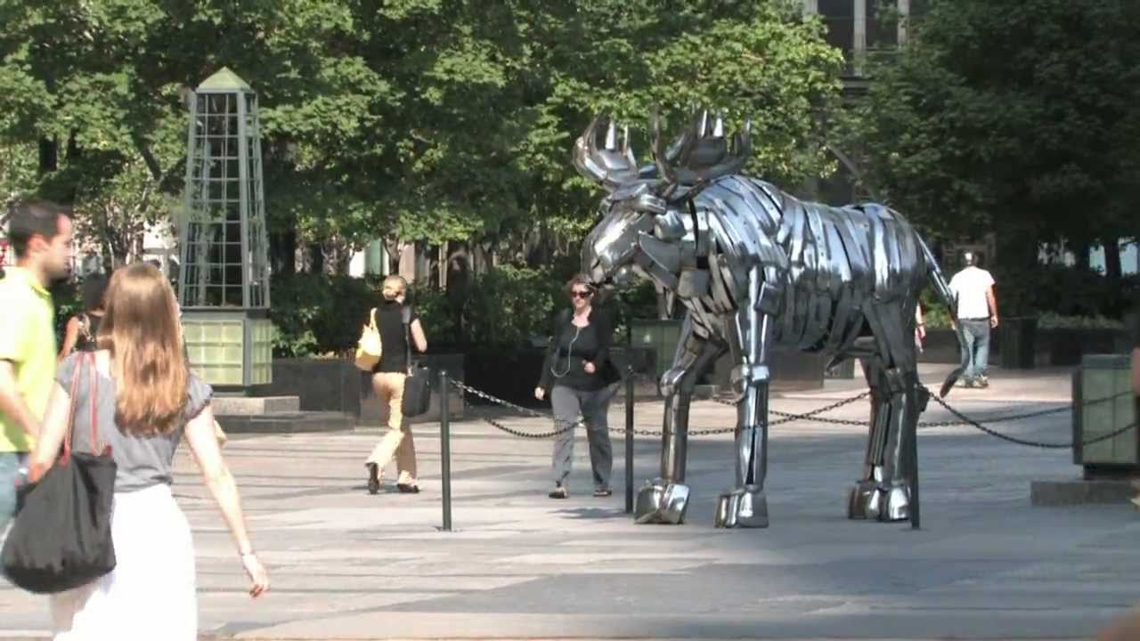 Chicago Summer Pulse