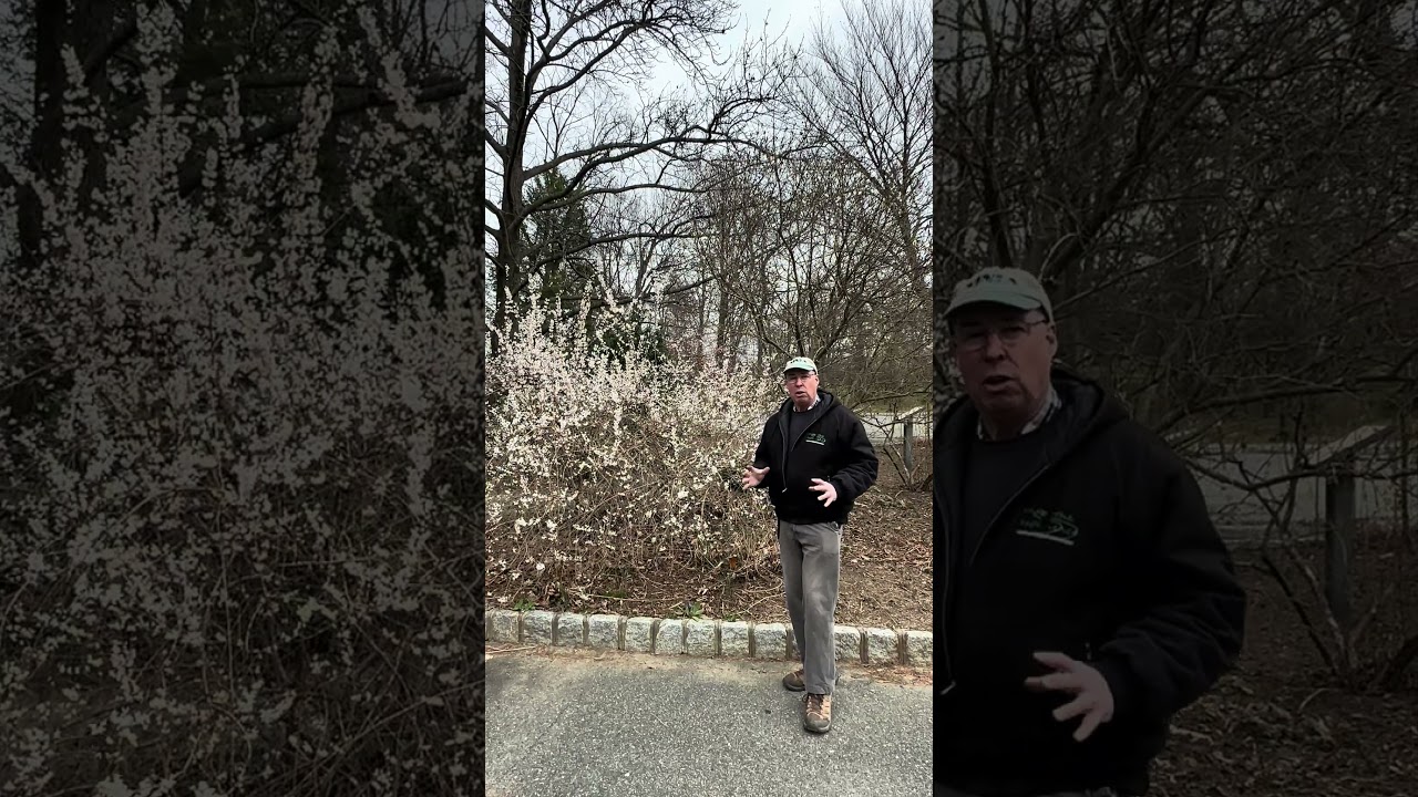 NJNLA's Growing Green: Tips with Bruce!