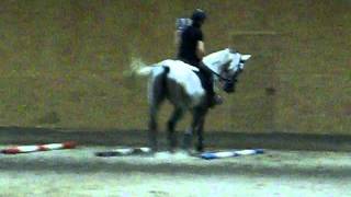 Horse Riding Ant & Amy Flatwork (AJS Equestrian)