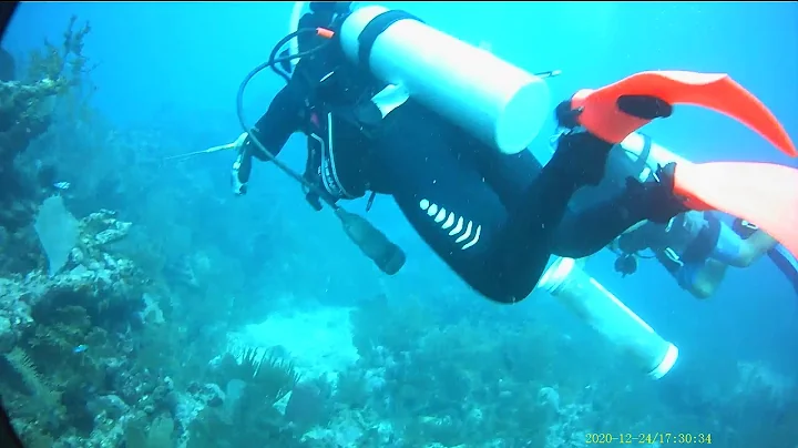 Fresia Belize Lionfish hunt