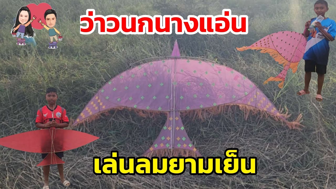 🪁#ว่าวนกนางแอ่น ตัวใหม่ล่าสุดปี69 เล่นลมยามเย็น #ว่าว #ว่าวนก