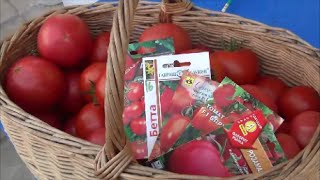 видео Красные фрукты и желтые помидоры. Пищевая аллергия.. Обсуждение на LiveInternet