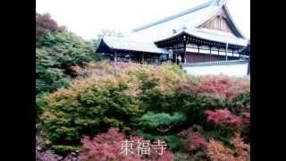 2012日本二條城東福寺南禪寺永觀堂賞楓