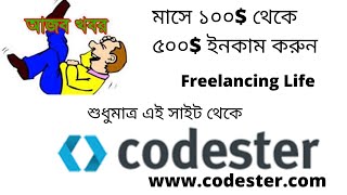 Famous how to Online market,, codester, Profile