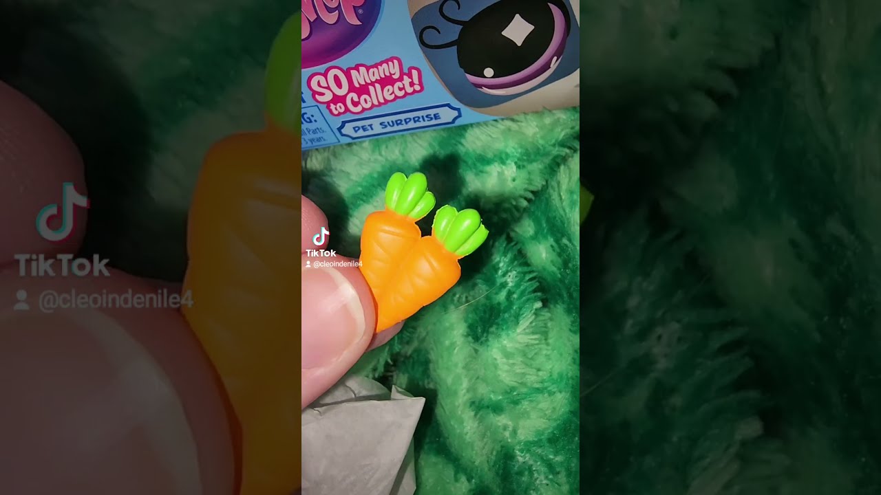This Littlest Pet Shop Is My New Best Friend Littlestpetshop Lps Toy Unboxing Blindbox