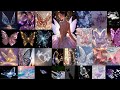 Butterfly 🦋dpz,whatsapp dpz butterfly, butterfly dp, butterfly, butterfly dp video, butterfly girl
