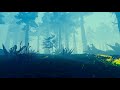 Panorama Of The Foggy Forest