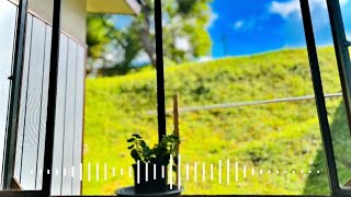 新緑/初音ミク