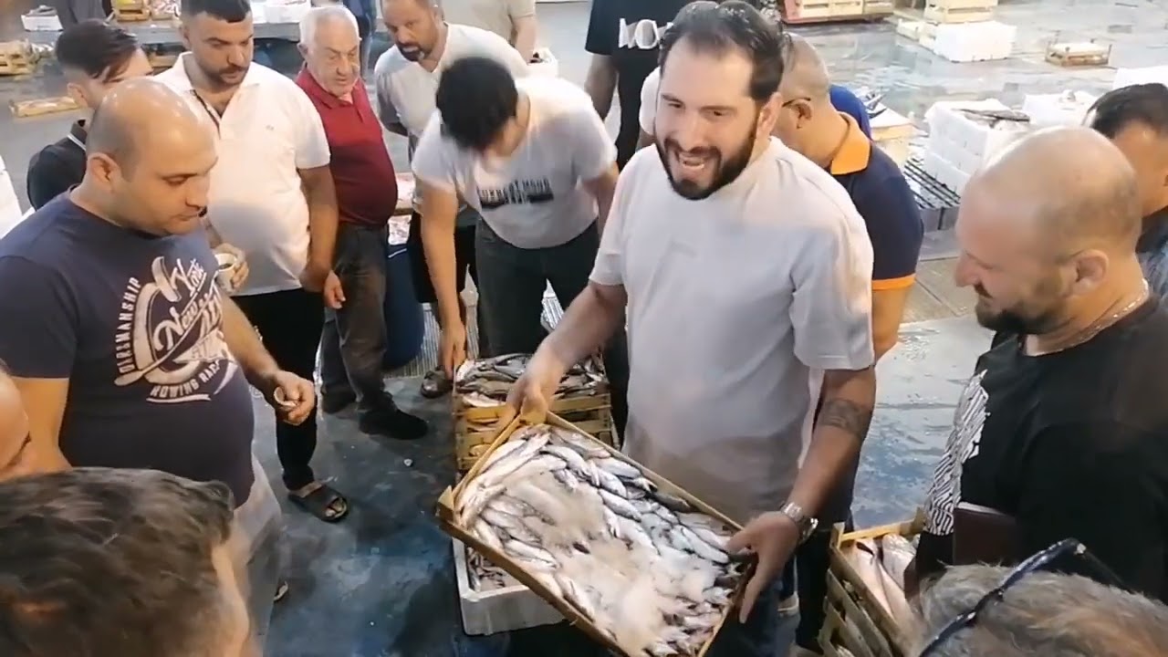 İZMİR BALIK HALİ MEZAT #2023 #izmir #balık #fishing #mezatı #vlog #keşfet #keşifteyiz #takip