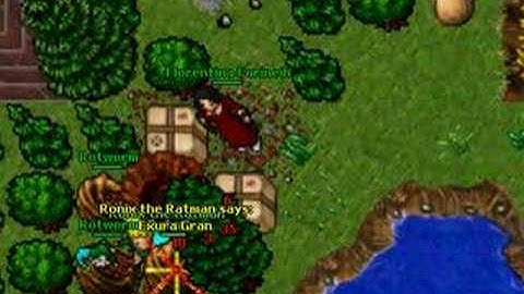 Tibia Killing Botters