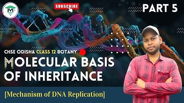 Molecular Basis of Inheritance class 12 in Odia  | Chapter 5, Mechanism of DNA Replication  | Part 5