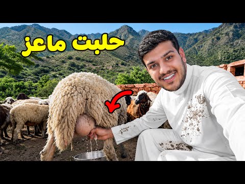 I tried being a tourist in southern Saudi Arabia🏔️🏕️ (Balqarn😍)