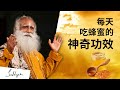 超级食物：每天吃蜂蜜的神奇功效 | Sadhguru 萨古鲁