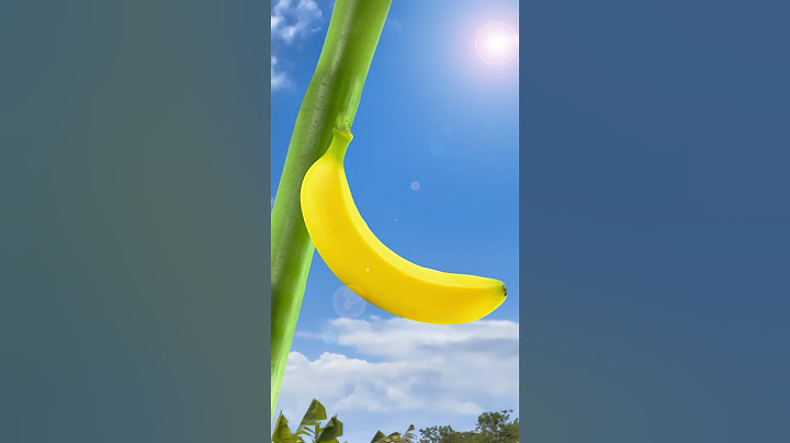 This is why bananas are curved 🍌🍌