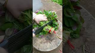 Sk 65000190  mini rotary and tillage and  all-in one tree 🌴