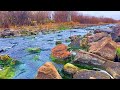Mountain River and Babbling Brook Sounds for Sleep 🏔 10 Hours of Relaxing Nature Sounds