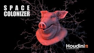 Space Colonizer in Houdini Net Worth