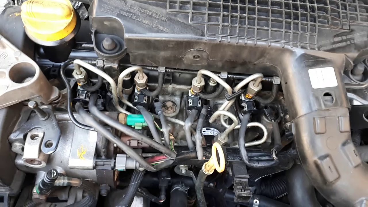 كيف تفحص بخاخات ليزانجكتور دسيا لوجان او سنديرو بنفسك وبسهولة