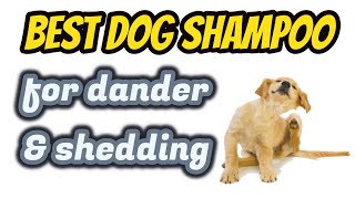 dog shampoo to help with dander