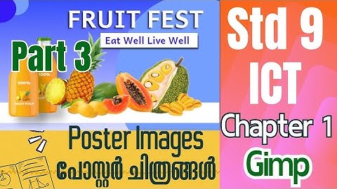 IT Standard 9 | Class 9 | Chapter 1 | Part 3 | Gimp |  Adding Text